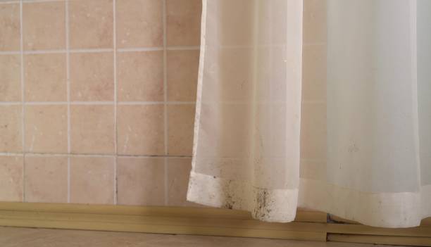 Best Real Estate Mold Inspection  in Rio Grande, NJ