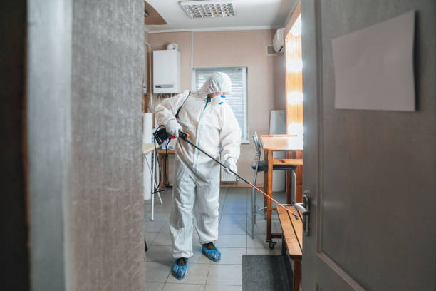  Rio Grande, NJ Mold Removal Pros
