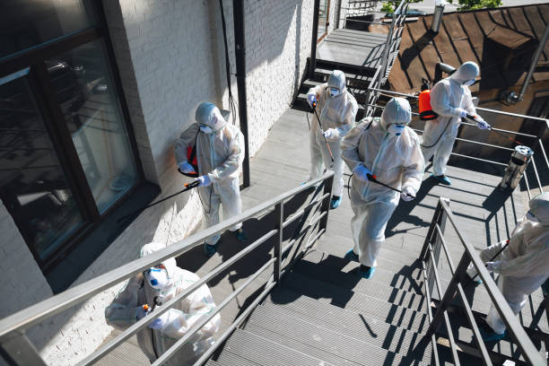 Best Commercial Mold Inspection  in Rio Grande, NJ