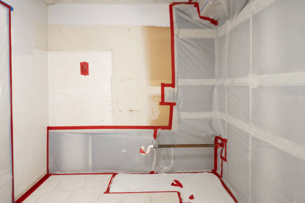 Best Air Quality Testing for Mold Spores  in Rio Grande, NJ
