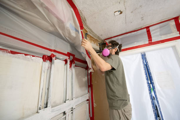 Best Airborne Mold Testing  in Rio Grande, NJ