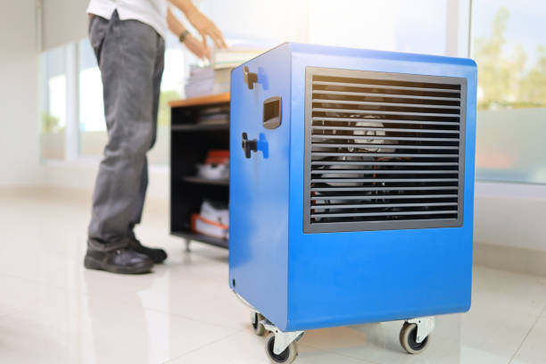 Best Residential Mold Inspection & Testing  in Rio Grande, NJ